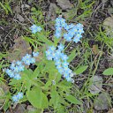 ��������� "������" �� ������� �"������"�