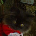  E.lena, , 62  -  28  2010    