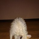 ���� ���������, ������ �������� - ��������� 26 ���� 2013 � ������ ������)))�