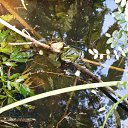 �������� �� ������� ����λ