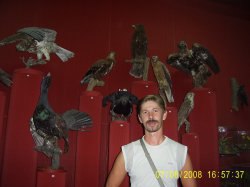 ����� �, �������, 51 ���