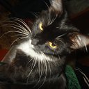 ���� �����, ������-��-����, 51 ��� - ��������� 26 ����� 2011 � ������ ���� ��������