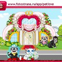  ****, , 28  -  3  2011   PetLove