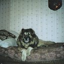  , - -  30  2012   ɻ