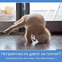 ���� ..��, ����� - ��������� 14 ���� 2013 � ������ ����-��� ��� ���-����-������)))�