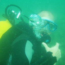 ���� ������, ��������� - ��������� 15 ������� 2011