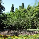 ���� �����, ���������, 34 ���� - ��������� 15 ������ 2009 � ������ ������ �� � ������� ����������?�