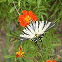 ���� ������, �����������, 42 ���� - ��������� 16 ������ 2012 � ������ �����