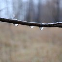� ����� �����������.. �� ������� ��������