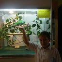    )))), , 47  -  3  2010   