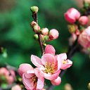 ���� ����, ��������, 57 ��� - ��������� 19 ������ 2012 � ������ ����