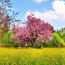 ���� ~Ann&ramosh~, ���������� - ��������� 8 ������ 2010 � ������ �������� �������!!!�