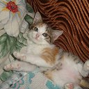 ��� ��� ������. �� ������� ���� ����� �����.�