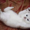 ���� Ihar., �����, 53 ���� - ��������� 23 ��� 2012 � ������ �������