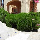 ���� � ������� �� ������� ������ ������� ����, ������� - ��������� 23 ������ 2011 � ������ �������-2�