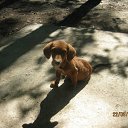 ���� ��_���, �����������, 71 ��� - ��������� 24 �������� 2012 � ������ �LM Doboj�