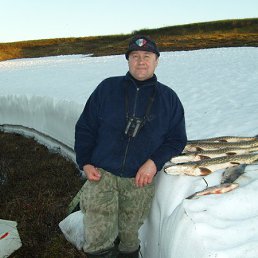 ������, ����, 61 ���