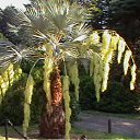 ���� ������, ������ �����, 44 ���� - ��������� 20 ������� 2010 � ������ ��������!!!!!�