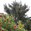 ���� �������� ��������, ������, 70 ��� - ��������� 8 ������� 2012 � ������ �������