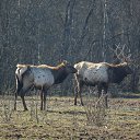 ������ �� ������� ��������