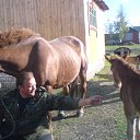 ���� ��������, ������, 54 ���� - ��������� 11 �������� 2011