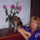 ���� ��������, ������������, 64 ���� - ��������� 1 ������� 2013 � ������ ���� ����������