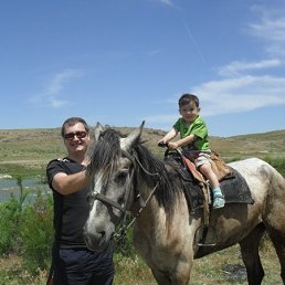 ����, �����, 43 ����