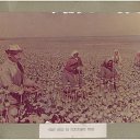 ���� ����, ������ - ��������� 1 ������� 2011 � ������ ���� ����������