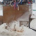 ���� �����, ����������, 59 ��� - ��������� 2 ����� 2011 � ������ ���������� ������������ �������