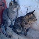 ���� �������, �������, 47 ��� - ��������� 9 ���� 2010 � ������ ���������