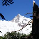 ���� �����, ������������, 37 ��� - ��������� 18 �������� 2009 � ������ ���� ��� ������,������� � �������� �� ���������� ��������� �������.�