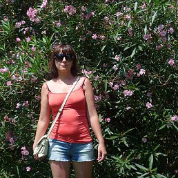 �����, ��������, 48 ���