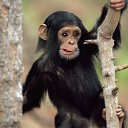 ���� Petr, �������, 42 ���� - ��������� 8 ���� 2011