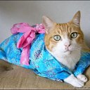 ���� ���������, ���������, 47 ��� - ��������� 29 ���� 2010 � ������ �������