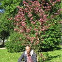 ���� ����, ������, 61 ��� - ��������� 26 ��� 2012 � ������ ���� ����������