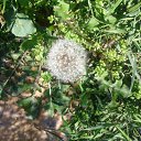 ���� ������, ������, 59 ��� - ��������� 21 ������� 2012 � ������ ���� ����