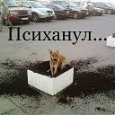 ���� ������ ����������, ���������� - ��������� 13 ������� 2012 � ������ �����������
