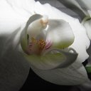 ���� �������, �������, 70 ��� - ��������� 6 ���� 2013 � ������ ���� ��������