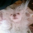 ϸ� �������