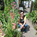 ���� ����, ��������� - ��������� 28 ������� 2012 � ������ ����� ������