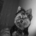 ���� �����, ���������, 49 ��� - ��������� 2 ������ 2012