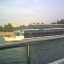 ���� ������, ���������, 41 ��� - ��������� 13 ���� 2011 � ������ ��������� �� ������