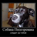 ���� �������, ���������, 54 ���� - ��������� 26 ������� 2010