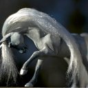 ���� Jeon Davon, ������ - ��������� 30 ��� 2012 � ������ �����������