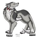  Mr.wolf, , 38  -  2  2010   