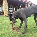 ���� E��������, ������, 59 ��� - ��������� 26 ���� 2013 � ������ ������ ��������