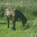 ���� �������, ��������, 46 ��� - ��������� 20 ������ 2010 � ������ ���� �������