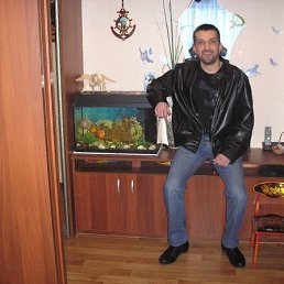 �����, ����������, 53 ����