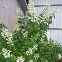 ���� �����, ������� - ��������� 6 ������� 2012 � ������ �������� 2012.08�