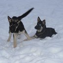 ���� ������, ���, 57 ��� - ��������� 11 ������ 2012 � ������ �� � �����